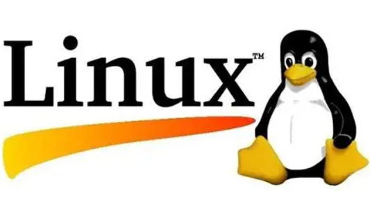 Commonly Used and Useful Vim Commands (Search / Undo / Large Block Deletion)